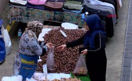 Esenler’de Çin kestanesi denetimi