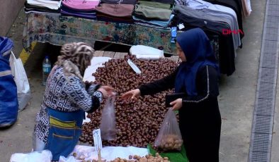 Esenler’de Çin kestanesi denetimi