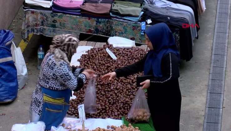 Esenler’de Çin kestanesi denetimi