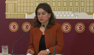 DEM Parti Grup Başkanvekili Gülüstan Kılıç Koçyiğit: 2024 emeklilerin açlık ve sefalet yılı olabilir