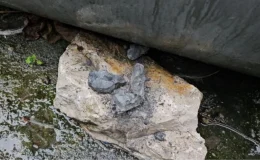 Zonguldak’ta dağıtılan kömürlerde taş çıkması mağduriyet yarattı