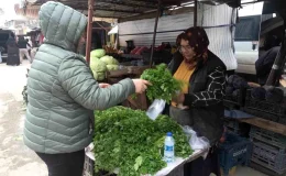 Hatay’da Kira Parası Çalınan Kadın Minibüste Yaşamını Sürdürdü