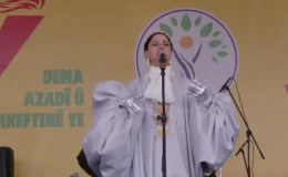 DEM Parti Eş Genel Başkanı Nevruz kutlamalarında çağrıda bulundu