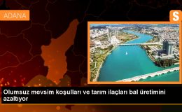 İklim Değişikliği ve Tarım İlaçları Bal Üretimini Olumsuz Etkiliyor