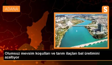 İklim Değişikliği ve Tarım İlaçları Bal Üretimini Olumsuz Etkiliyor