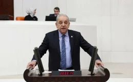 CHP Milletvekili Nalbantoğlu: İş bilmezlik mali müşavirlere yansıyor