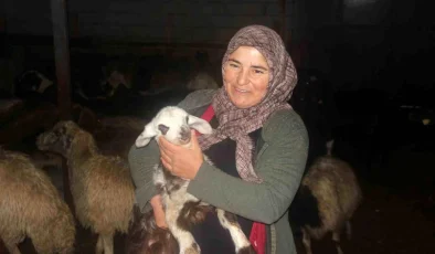 Erzincan’da Küçükbaş Hayvancılık Projesi Destekleniyor