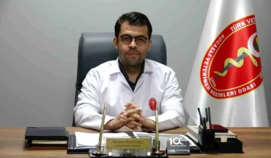 Kocaeli Valiliği Hayvanları Koruma Kanunu’nu Hatırlattı