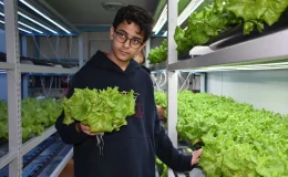 Trabzon’da lise bahçesinde topraksız tarım ile marul yetiştirildi