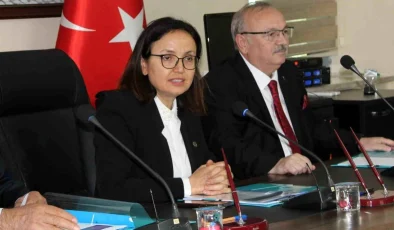 Yalova Valisi Hastane Yolunun Acilen Tamamlanmasını İstiyor