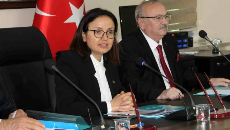 Yalova Valisi Hastane Yolunun Acilen Tamamlanmasını İstiyor