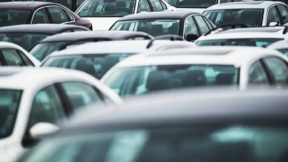 Pasta Cila Neden Yapılır? Pasta Cila Yapılmazsa Ne Olur, Gerekli Mi?