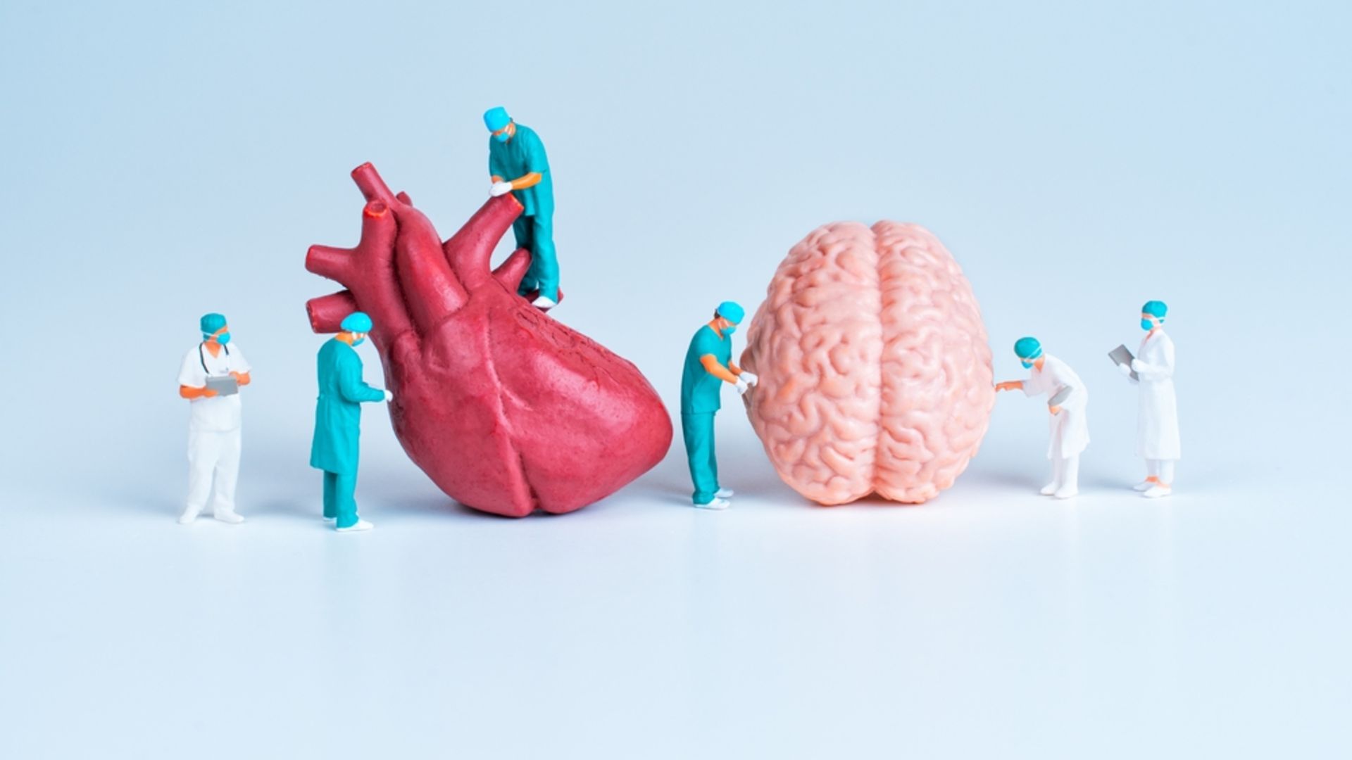 Sağlıklı bir kalp, sağlıklı bir beyin demektir