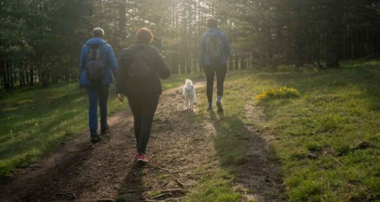 6 tehlikeli yürüyüş alışkanlığı: Dizleri mahvediyor
