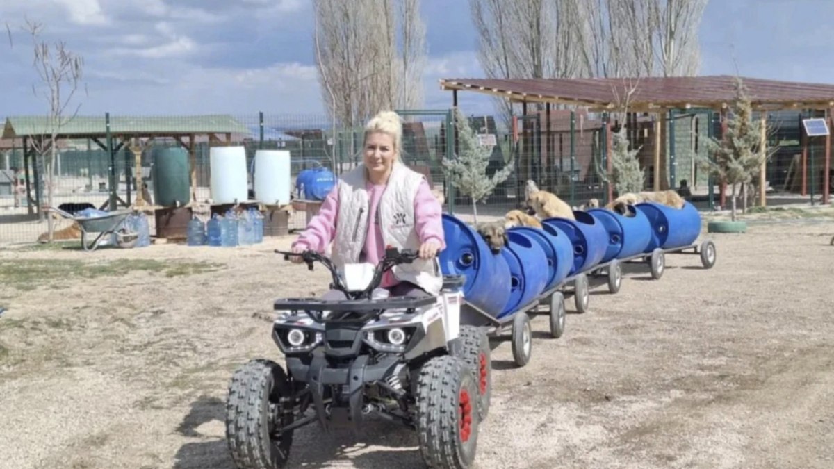 Başıboş köpek derneği vurgununda yeni detaylar: Topladıkları 18 milyon TL’yi şahsi hesaplarına aktardılar