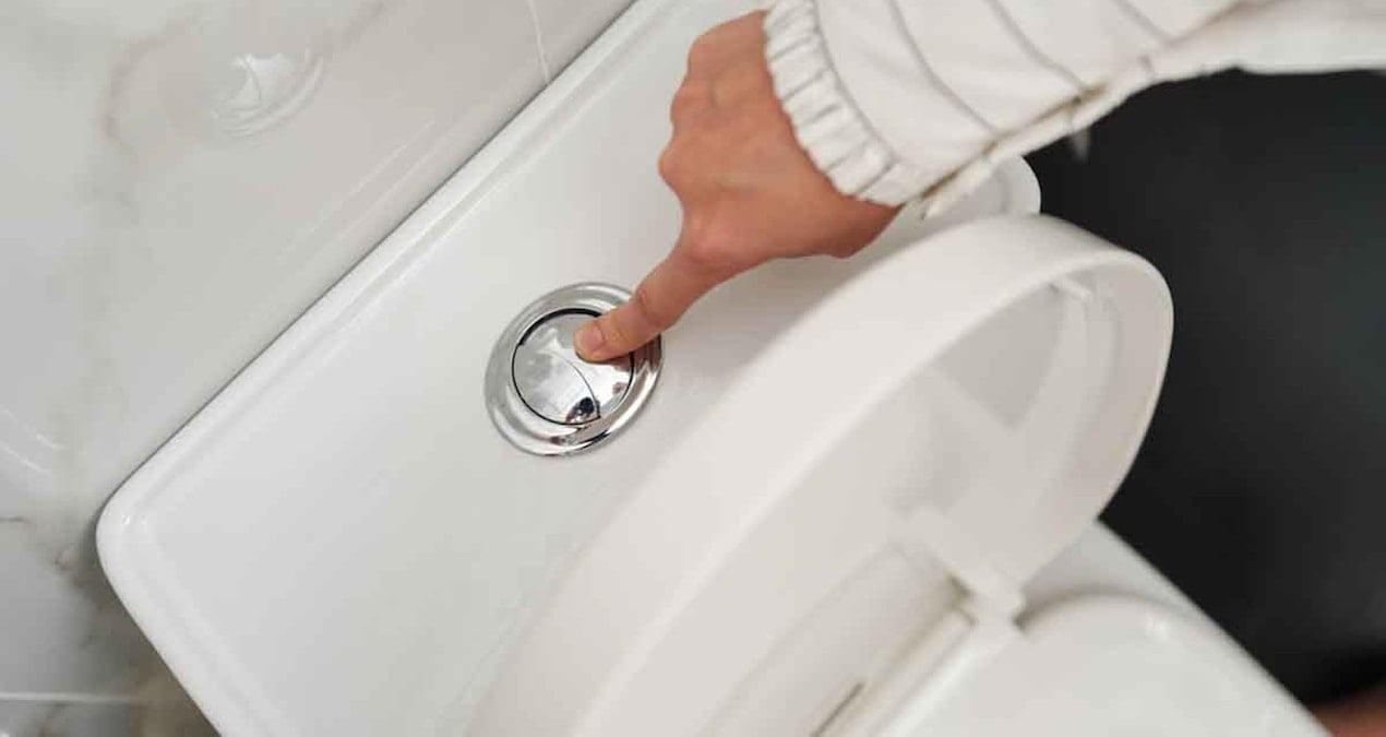 “Hayalet dışkı” en sağlıklı sindirimi gösterir: İşte hayalet dışkının tipik özellikleri